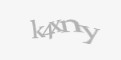Защитный код